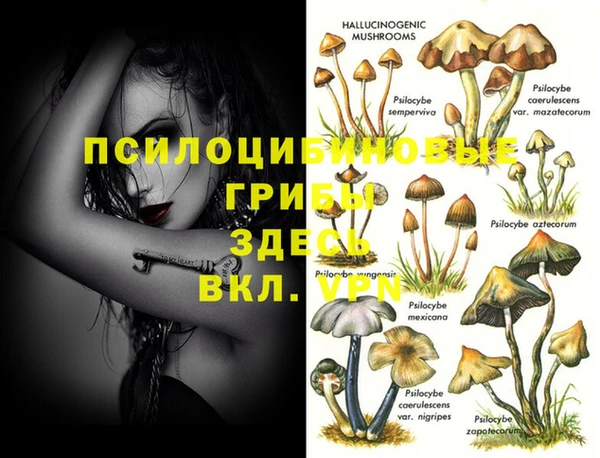 амф Арсеньев