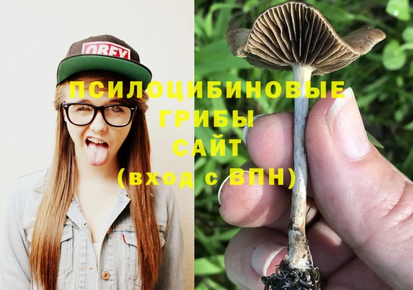 амф Арсеньев